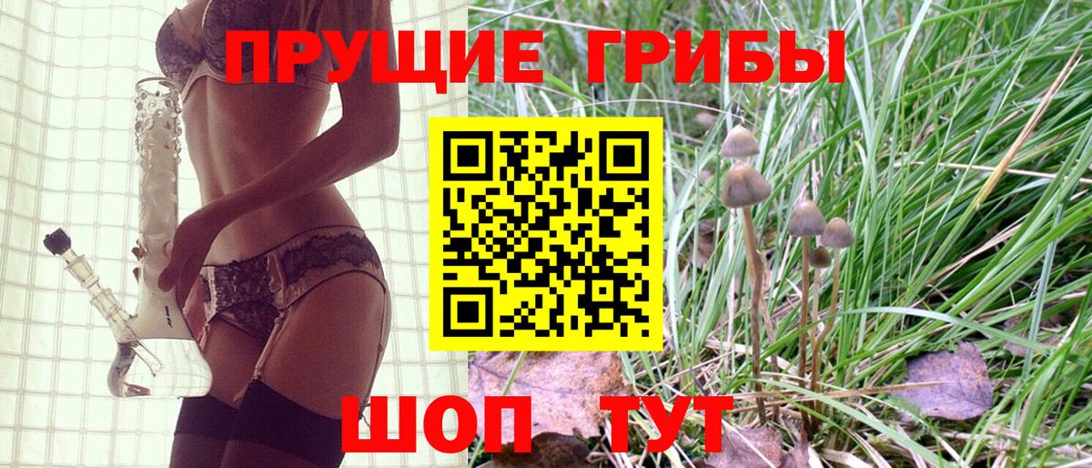 Ишим  Псилоцибиновые грибы Magic Shrooms  Вход с VPN 